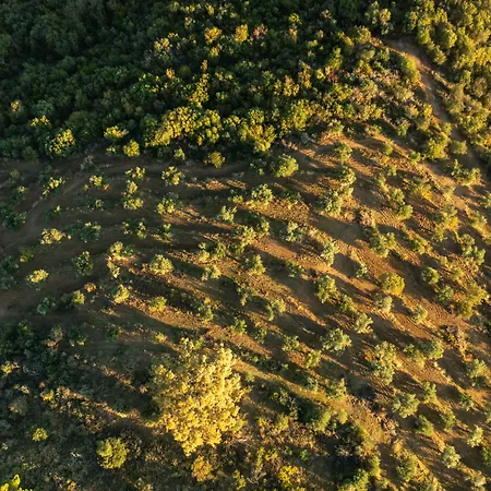 Alistos Hotel Gythio