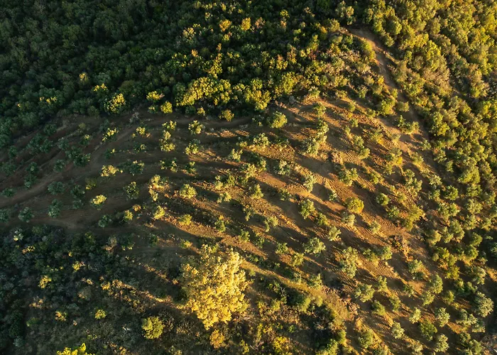 Alistos Hotel Gythio